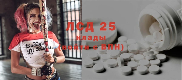 скорость Каменногорск