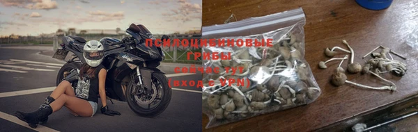 скорость Каменногорск