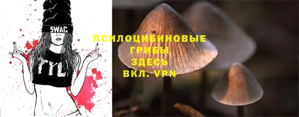 прущая мука Янаул