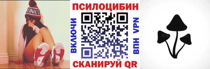 Купить где  Саянск  Псилоцибиновые грибы прущие грибы 